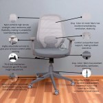 Grey executive office chair showing key ergonomic features: breathable air mesh back, adjustable armrests, tilt and lock mechanism, heavy-duty nylon base with caster wheels, and a pneumatic gas lift supporting up to 250kg.